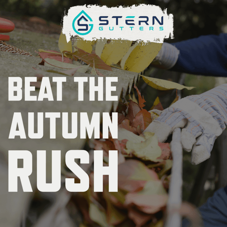 Stern Gutters NJ Gutter Contractor 1 Autumn