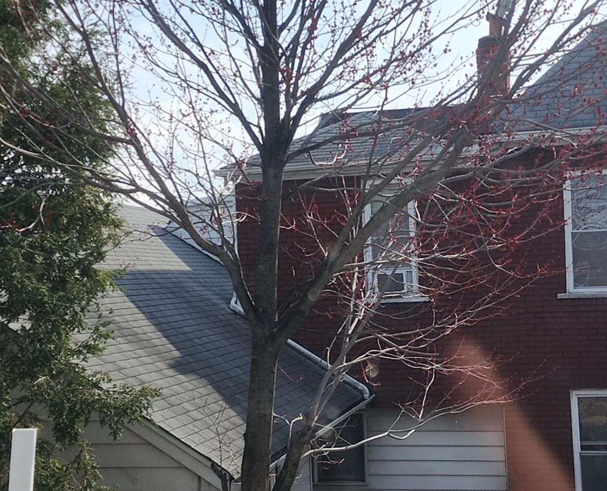 Roofing in Lyndhurst, NJ Roofing in Lyndhurst, NJ
